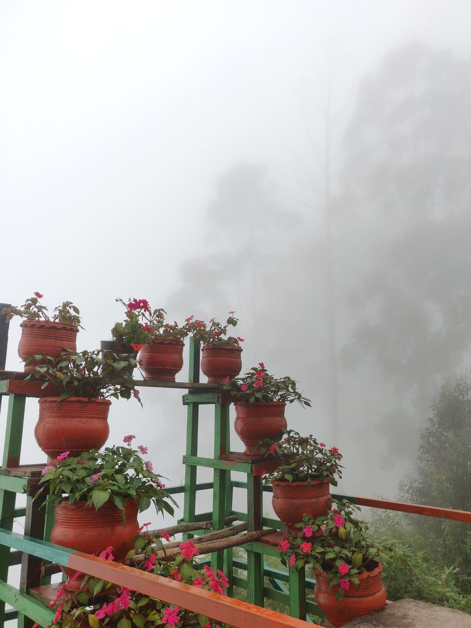 Photo of Vattakanal, Kodaikanal, Tamil Nadu, India by Mamtha Ramachandra