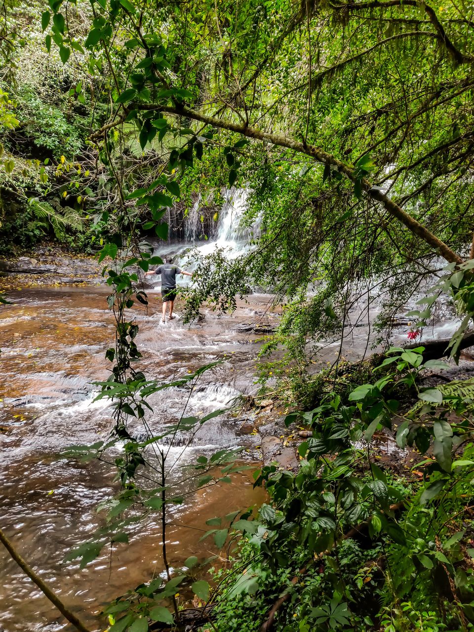 Photo of Vattakanal Water Falls, Dindigul, Tamil Nadu, India by Mamtha Ramachandra