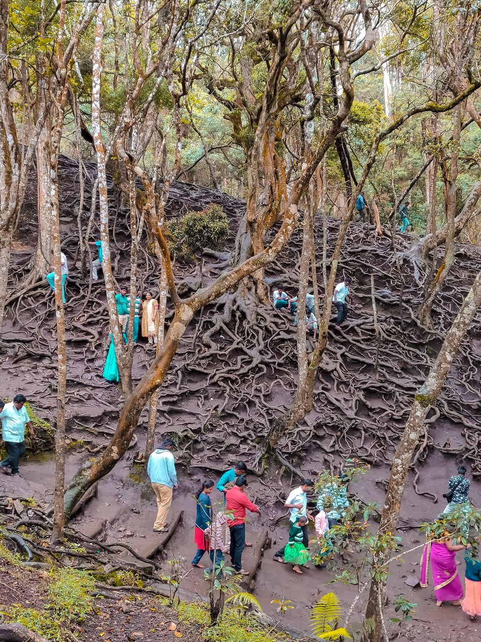 Photo of Guna Caves, Pillar Rocks Road, Tamil Nadu, India by Mamtha Ramachandra