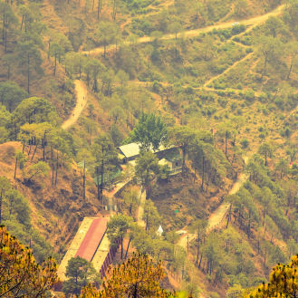 Photo of Heaven on earth to unearth yourself - Kasauli a one day trip 3/7 by Girl with a Tripod