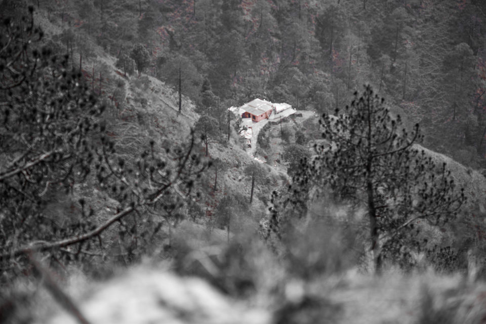 Photo of Heaven on earth to unearth yourself - Kasauli a one day trip 6/7 by Girl with a Tripod