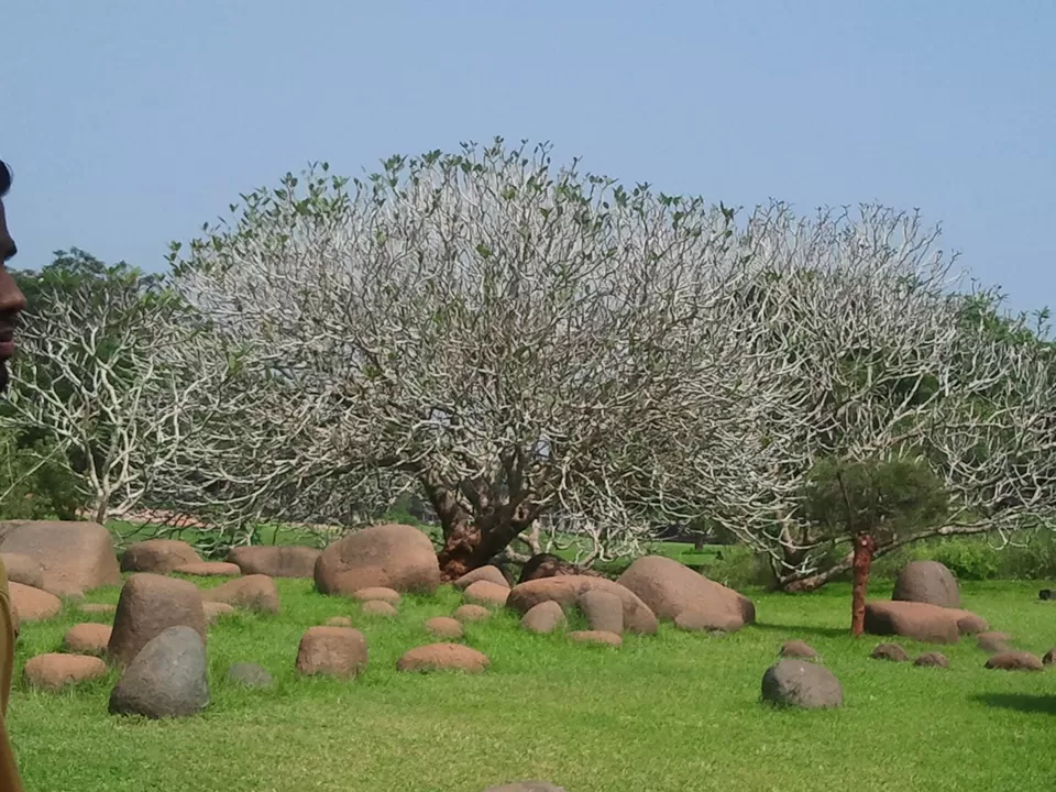 Photo of Matrimandir, Auroville, Bommayapalayam, Tamil Nadu, India by Girl with a Tripod