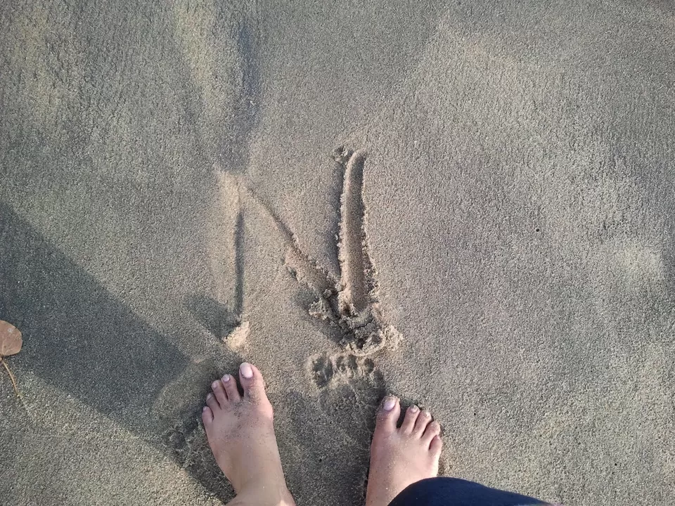 Photo of Auroville Beach, Villupuram, Tamil Nadu, India by Girl with a Tripod
