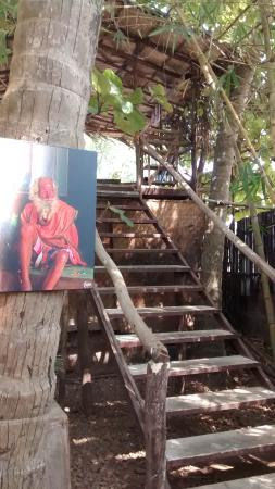 Photo of Slices of tropical paradise for lovebirds 3/3 by Rochie Rana