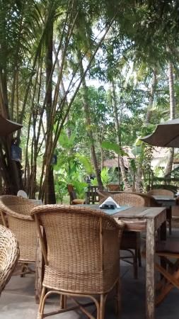 Photo of Slices of tropical paradise for lovebirds 2/3 by Rochie Rana