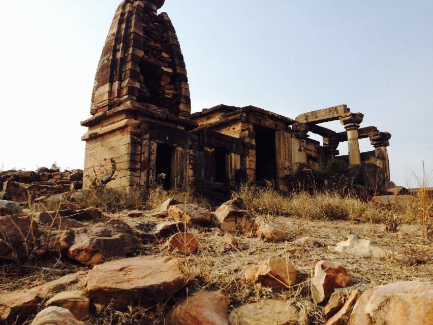 Photo of Exploring the musk- Madhya Pradesh North 3/9 by Kunchit Saxena