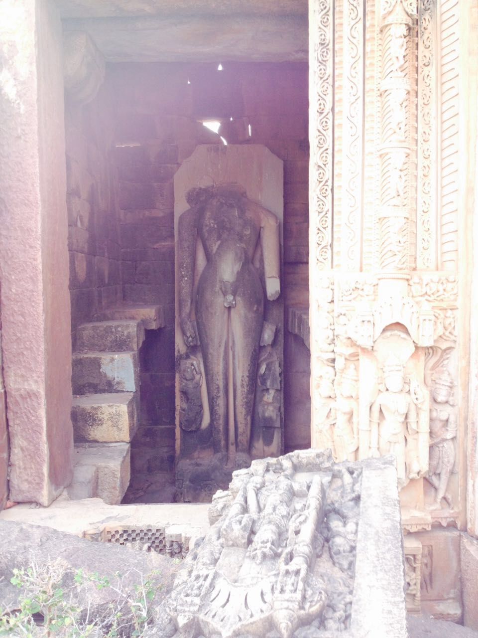 Photo of Exploring the musk- Madhya Pradesh North 5/9 by Kunchit Saxena