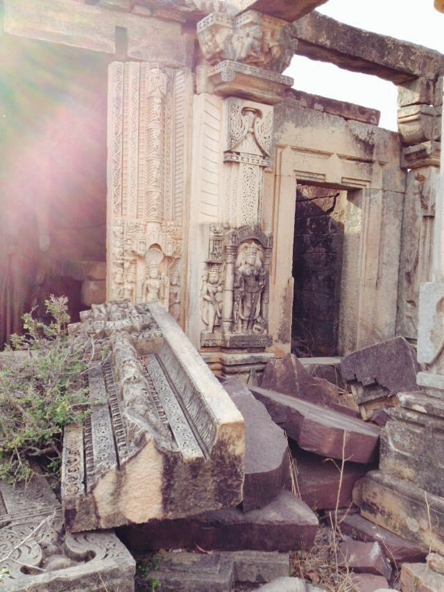 Photo of Exploring the musk- Madhya Pradesh North 6/9 by Kunchit Saxena