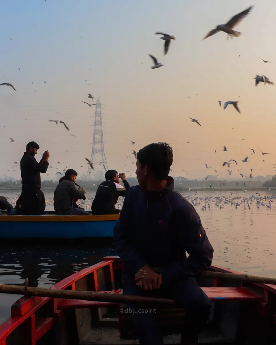 Photo of Bird watching at Delhi by Sanjay Singh