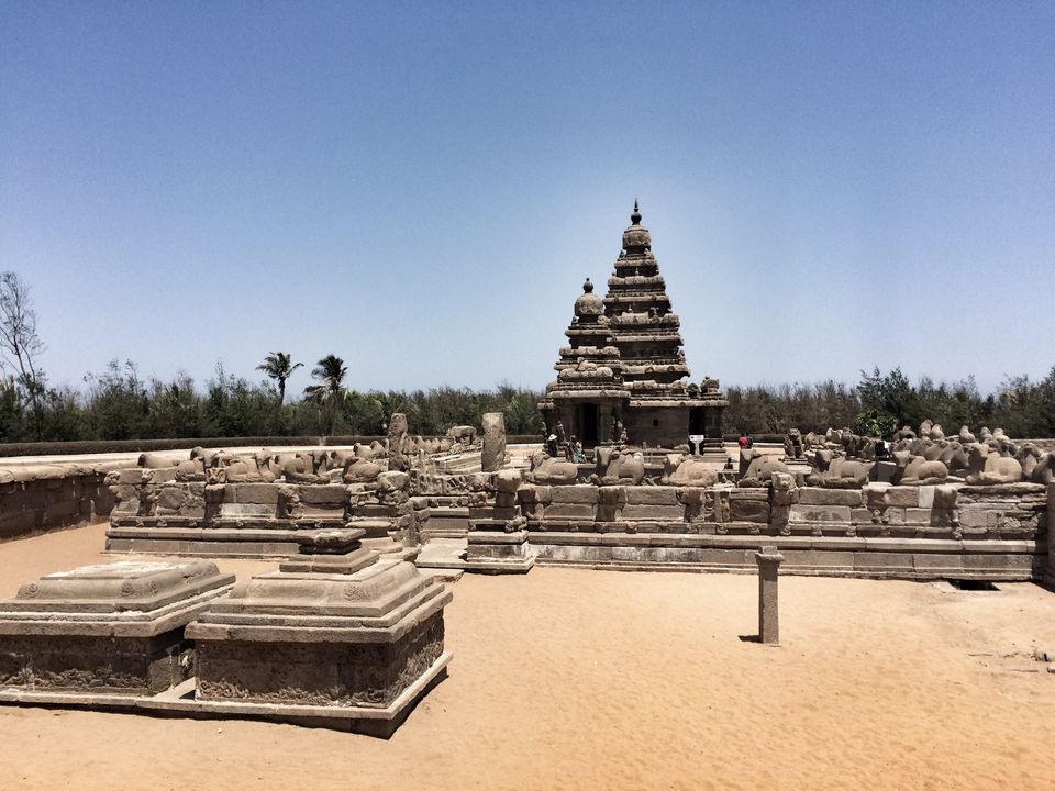 Photo of Things To Do In Mahabalipuram While Stopping On Your Way To Pondicherry 14/16 by Mahima Agarwal