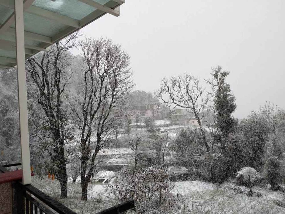 Photo of Shimla, Himachal Pradesh, India by Bhupender Singh