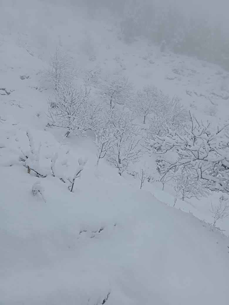 Photo of Shimla, Himachal Pradesh, India by Bhupender Singh