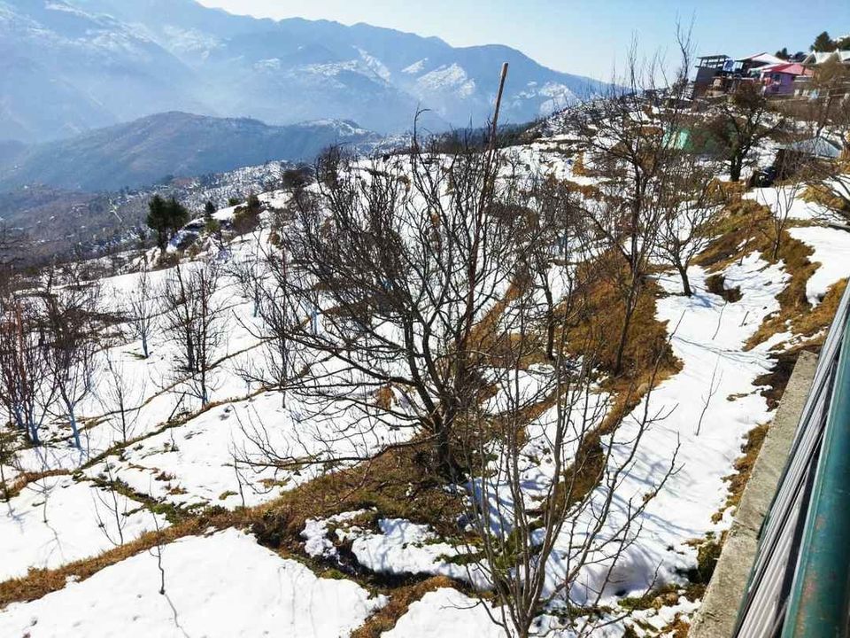Photo of Shimla, Himachal Pradesh, India by Bhupender Singh