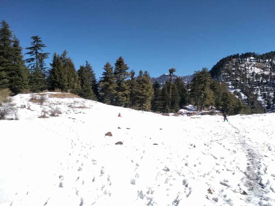 Photo of Shimla, Himachal Pradesh, India by Bhupender Singh