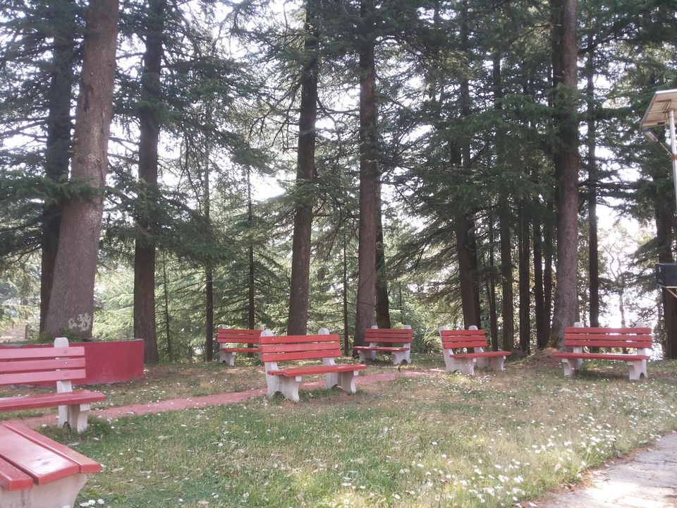 Photo of How to enjoy places around Shimla w/o touching congested Shimla... 17/35 by Bhupender Singh