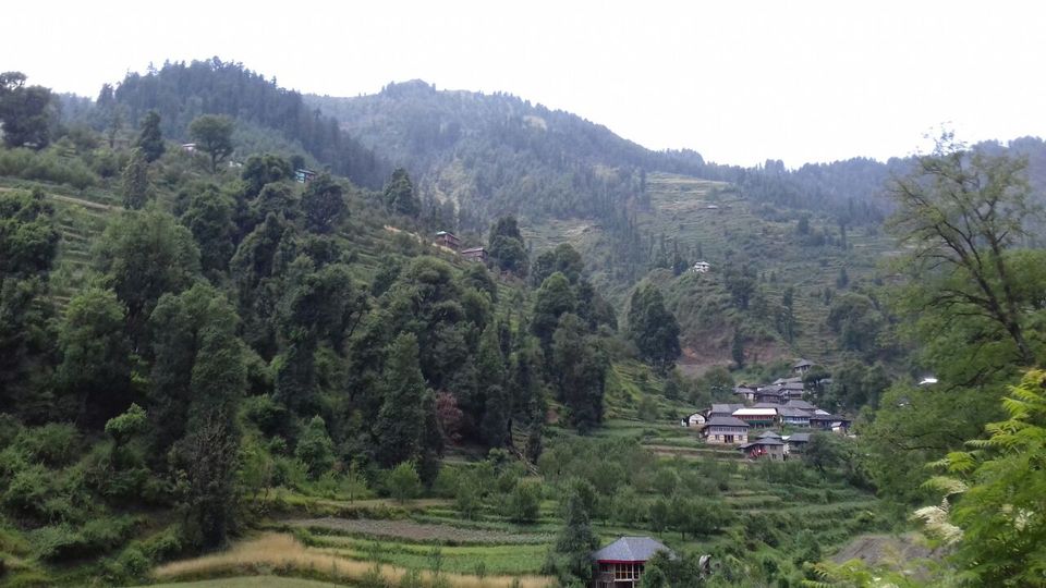 Photo of My latest crush,"Bhulah, "Mini Switzerland" Mandi,Himachal 9/58 by Bhupender Singh