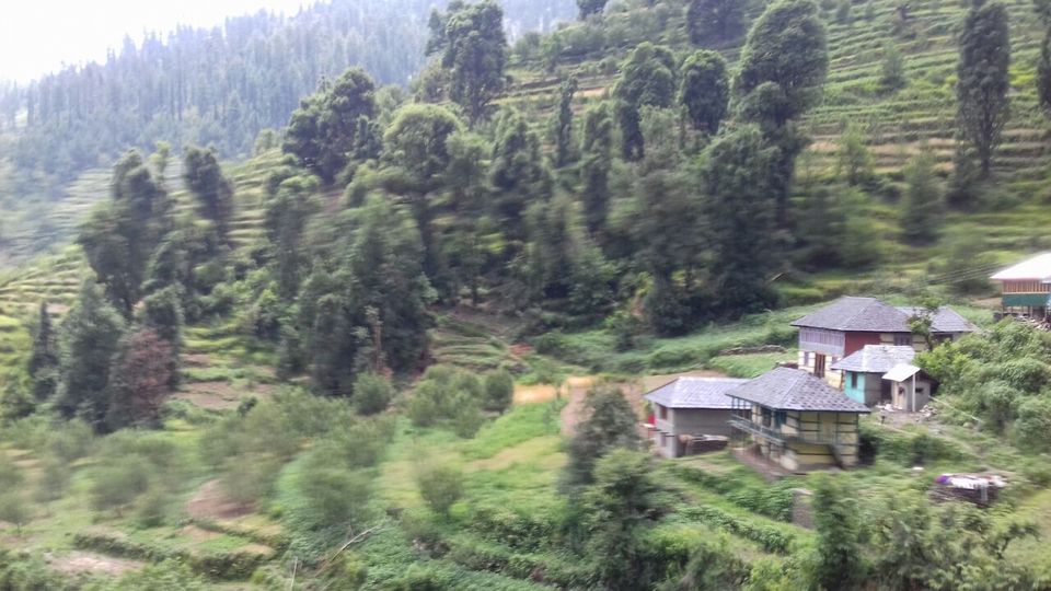 Photo of My latest crush,"Bhulah, "Mini Switzerland" Mandi,Himachal 10/58 by Bhupender Singh