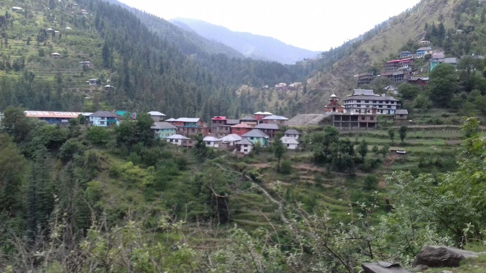 Photo of My latest crush,"Bhulah, "Mini Switzerland" Mandi,Himachal 11/58 by Bhupender Singh