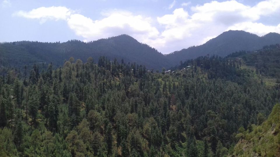 Photo of My latest crush,"Bhulah, "Mini Switzerland" Mandi,Himachal 16/58 by Bhupender Singh