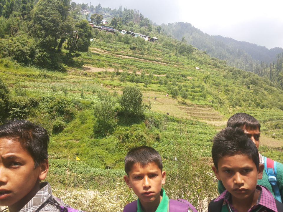 Photo of My latest crush,"Bhulah, "Mini Switzerland" Mandi,Himachal 20/58 by Bhupender Singh