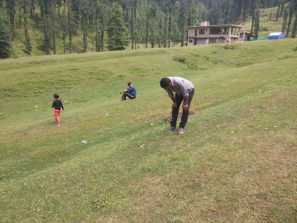Photo of My latest crush,"Bhulah, "Mini Switzerland" Mandi,Himachal 23/58 by Bhupender Singh