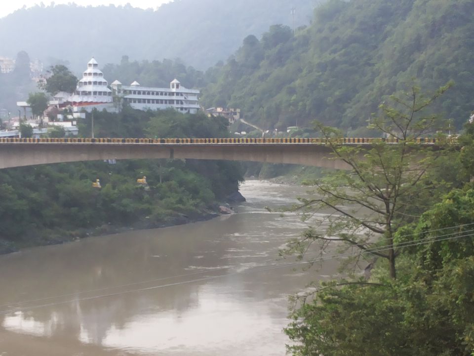 Photo of My latest crush,"Bhulah, "Mini Switzerland" Mandi,Himachal 34/58 by Bhupender Singh