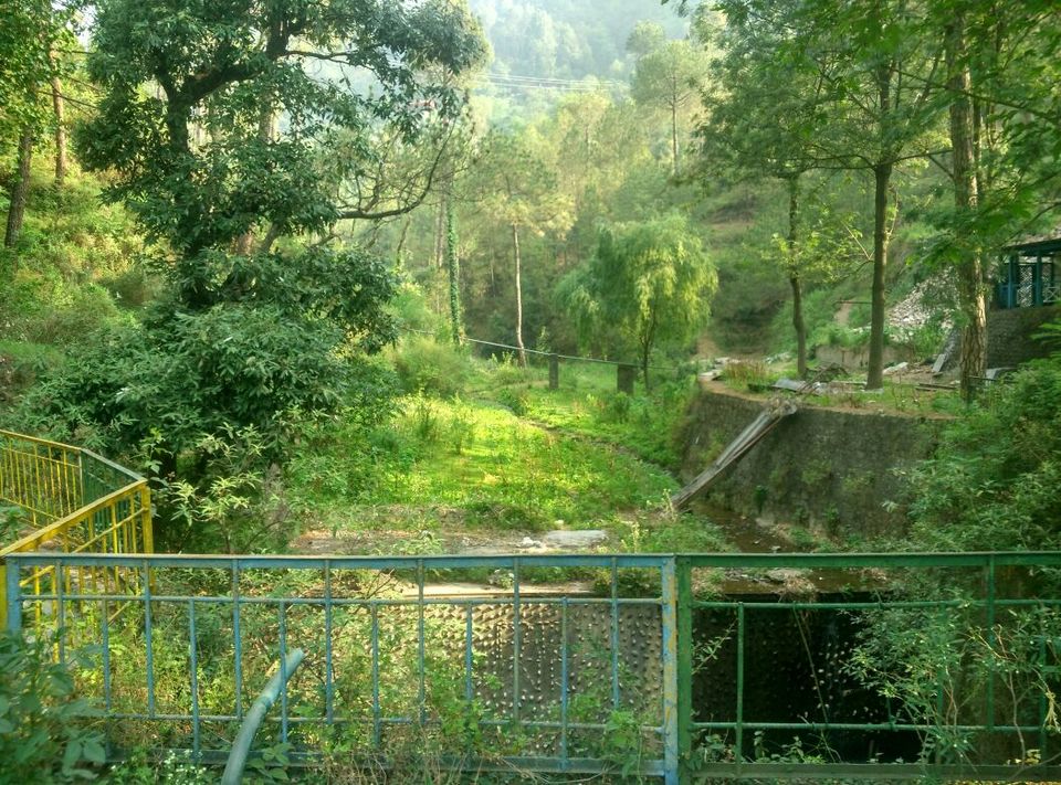 Photo of How to enjoy places around Shimla w/o touching congested Shimla... 35/35 by Bhupender Singh
