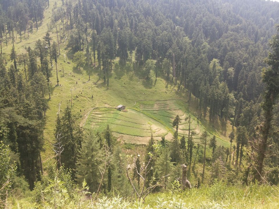 Photo of My latest crush,"Bhulah, "Mini Switzerland" Mandi,Himachal 49/58 by Bhupender Singh