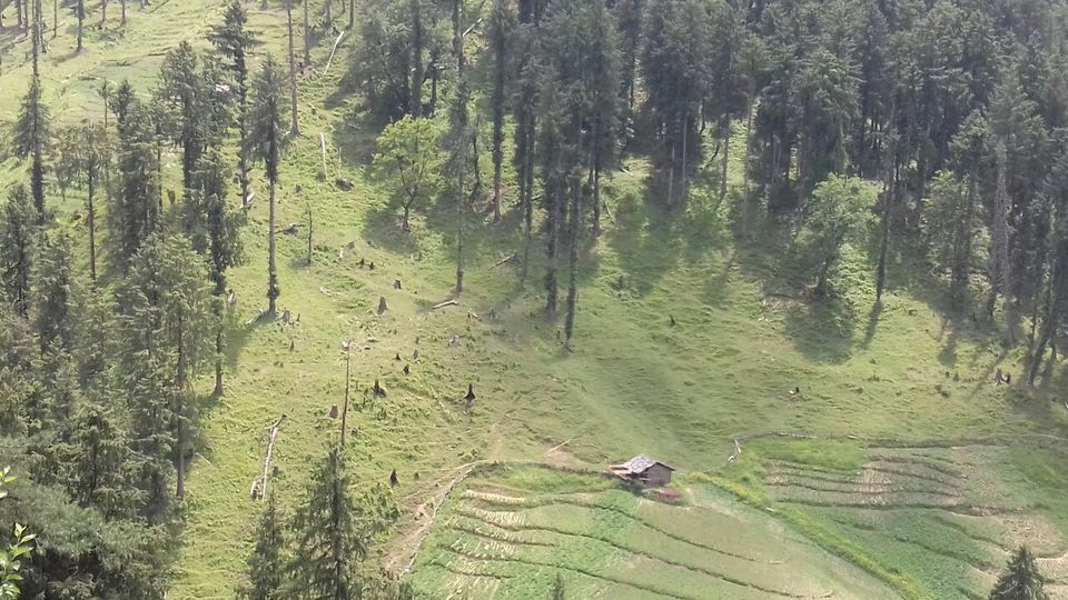 Photo of My latest crush,"Bhulah, "Mini Switzerland" Mandi,Himachal 52/58 by Bhupender Singh