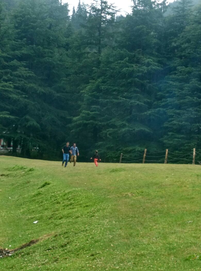 Photo of My latest crush,"Bhulah, "Mini Switzerland" Mandi,Himachal 54/58 by Bhupender Singh
