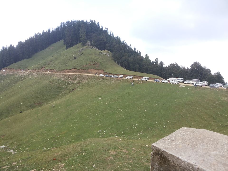 Photo of My latest crush,"Bhulah, "Mini Switzerland" Mandi,Himachal 55/58 by Bhupender Singh