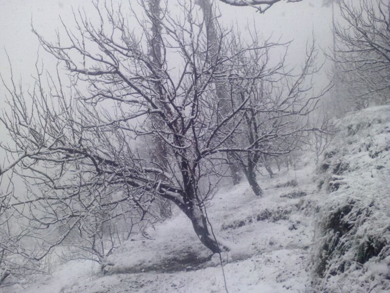 Photo of Kullu, Himachal Pradesh, India by Bhupender Singh