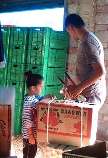 Photo of Journey of Apple from orchard to your Dinning table by Bhupender Singh
