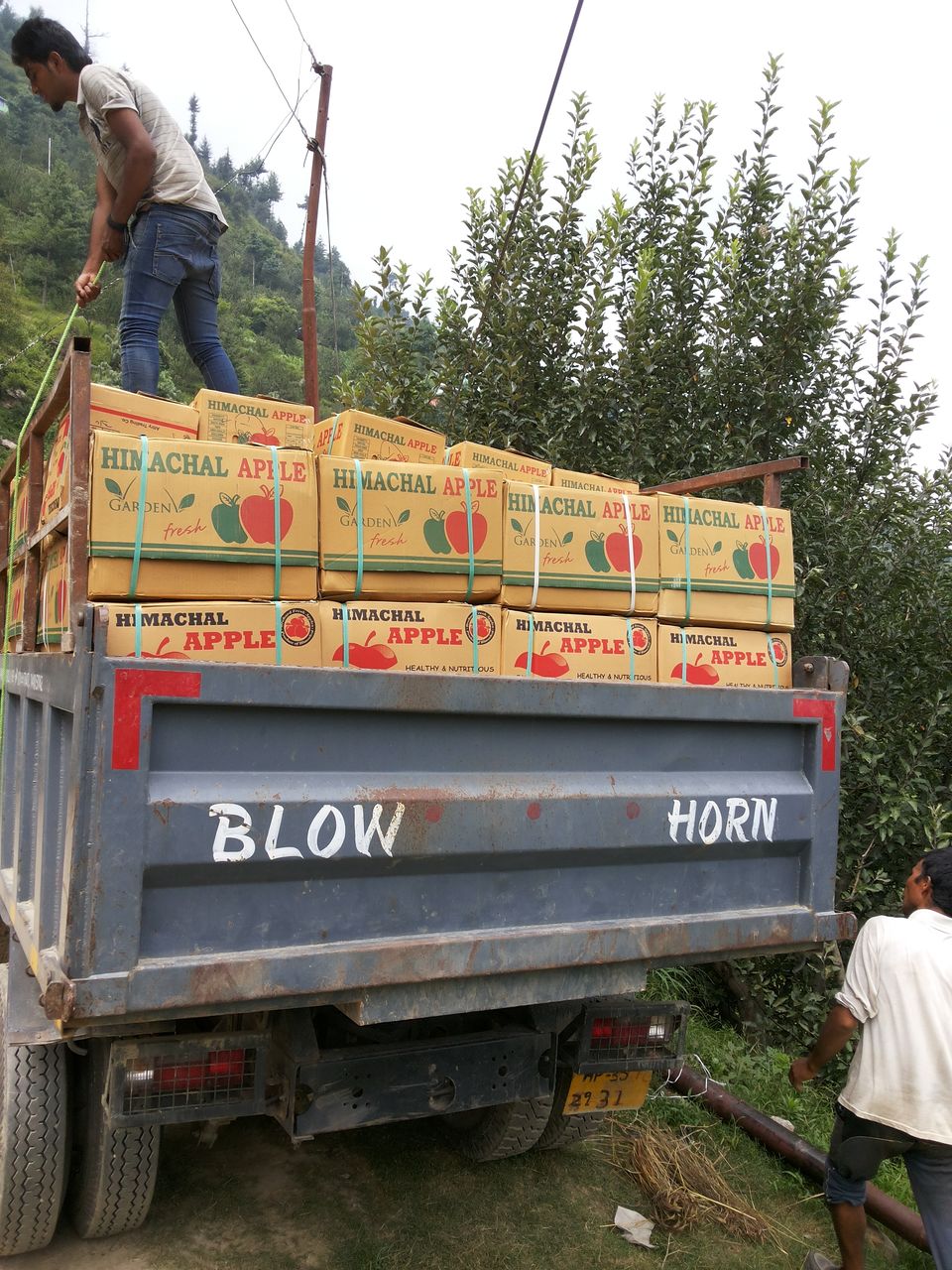 Photo of Journey of Apple from orchard to your Dinning table by Bhupender Singh