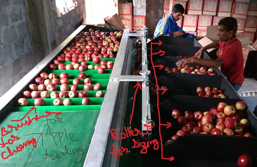 Photo of Journey of Apple from orchard to your Dinning table by Bhupender Singh