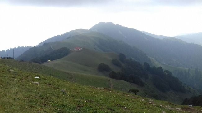 Photo of My latest crush,"Bhulah, "Mini Switzerland" Mandi,Himachal 2/58 by Bhupender Singh