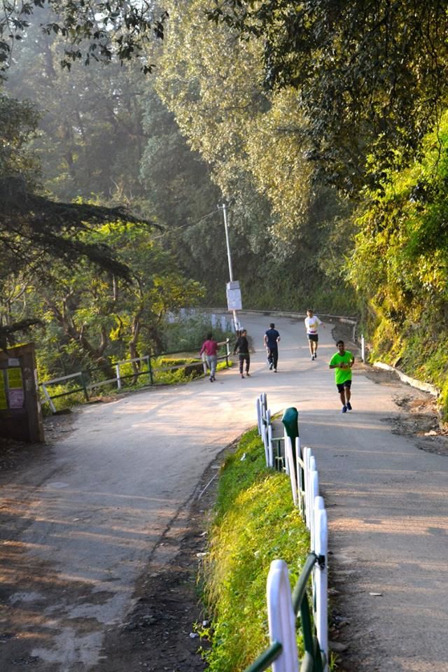 Photo of Weekend Trip to Majestic Shimla for running my first High altitude Half Marathon by Bhupender Singh