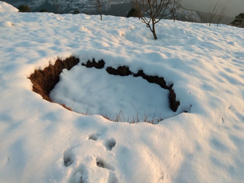 Photo of Different shades of Snow -Himachal-2017, great experience... 34/43 by Bhupender Singh