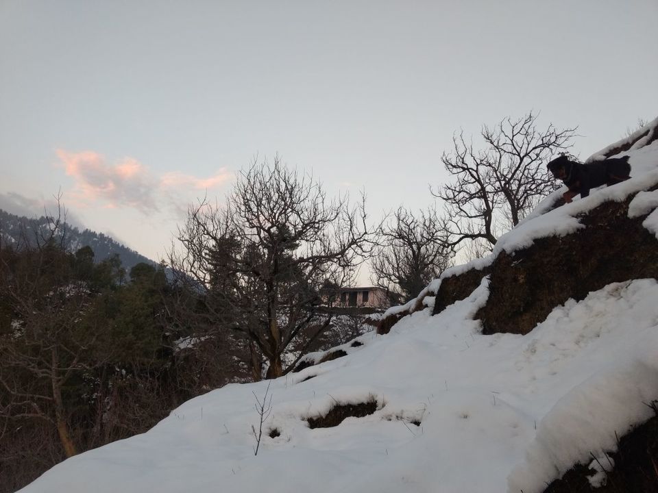 Photo of Different shades of Snow -Himachal-2017, great experience... 35/43 by Bhupender Singh