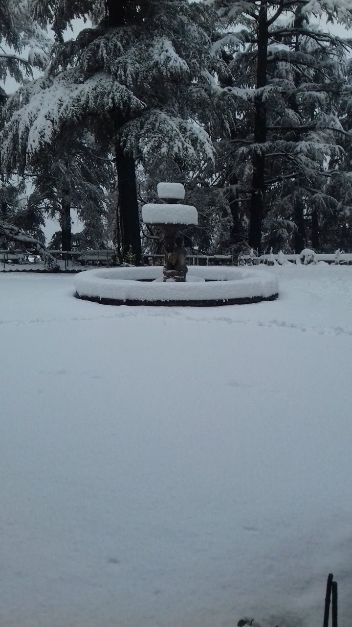 Photo of Different shades of Snow -Himachal-2017, great experience... 33/43 by Bhupender Singh