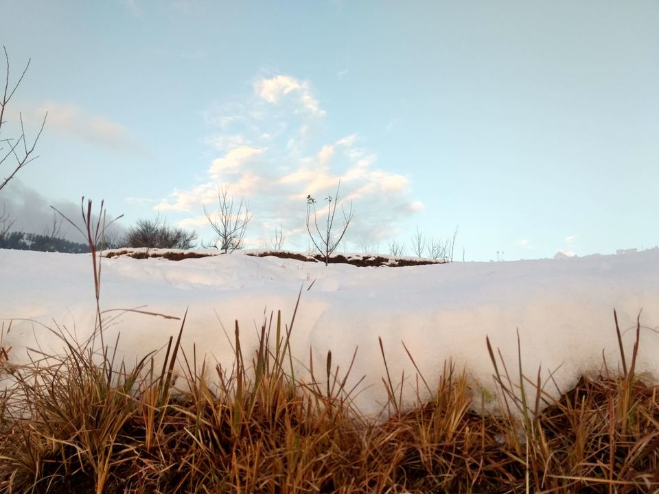 Photo of Different shades of Snow -Himachal-2017, great experience... 37/43 by Bhupender Singh