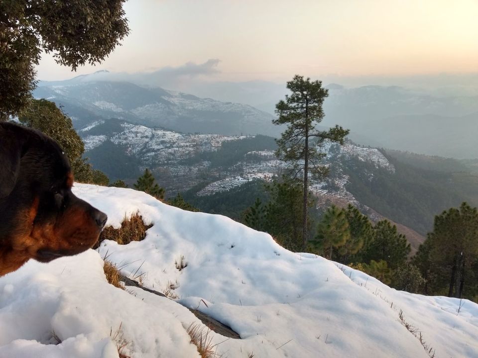 Photo of Different shades of Snow -Himachal-2017, great experience... 20/43 by Bhupender Singh