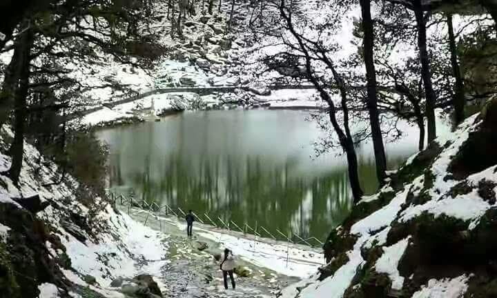 Photo of Different shades of Snow -Himachal-2017, great experience... 17/43 by Bhupender Singh