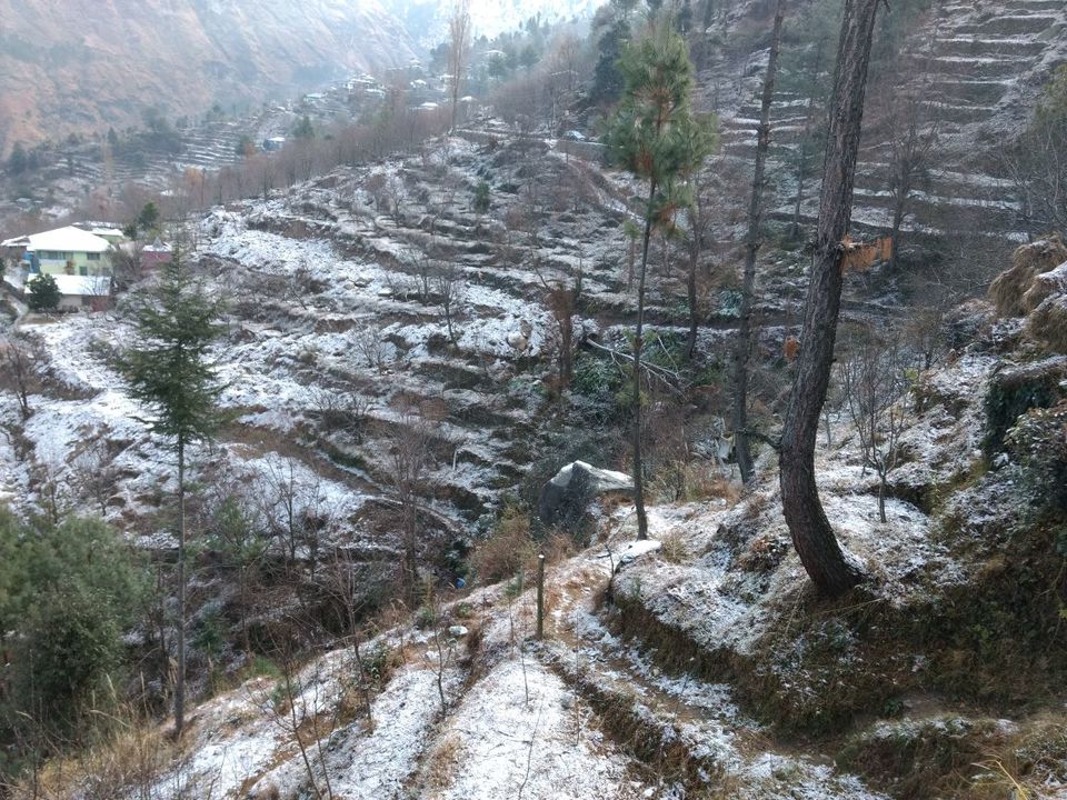 Photo of Different shades of Snow -Himachal-2017, great experience... 19/43 by Bhupender Singh