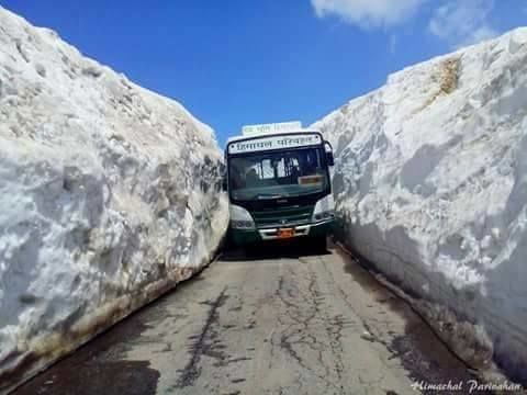 Photo of Different shades of Snow -Himachal-2017, great experience... 2/43 by Bhupender Singh
