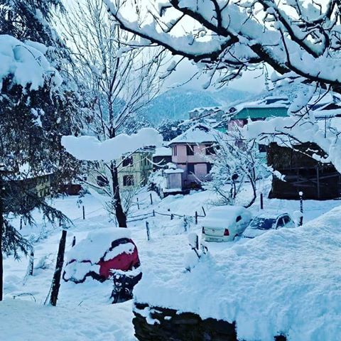Photo of Different shades of Snow -Himachal-2017, great experience... 9/43 by Bhupender Singh