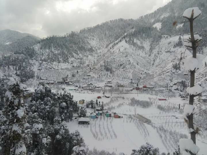 Photo of Different shades of Snow -Himachal-2017, great experience... 11/43 by Bhupender Singh