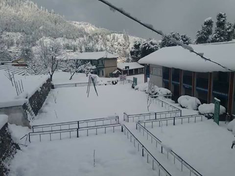 Photo of Different shades of Snow -Himachal-2017, great experience... 8/43 by Bhupender Singh