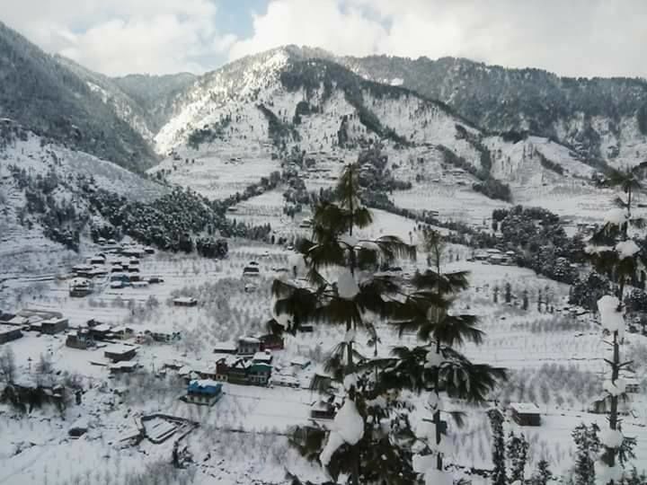 Photo of Different shades of Snow -Himachal-2017, great experience... 12/43 by Bhupender Singh