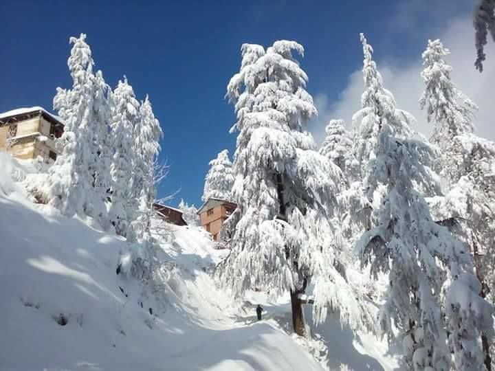 Photo of Different shades of Snow -Himachal-2017, great experience... 14/43 by Bhupender Singh